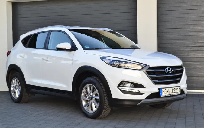 gryfino Hyundai Tucson cena 69900 przebieg: 110000, rok produkcji 2018 z Gryfino